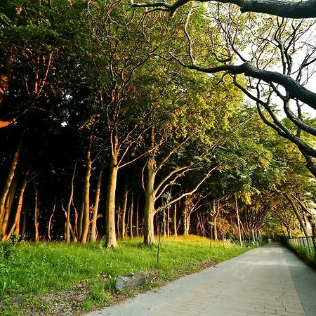 Diune & Daire Kolobrzeg