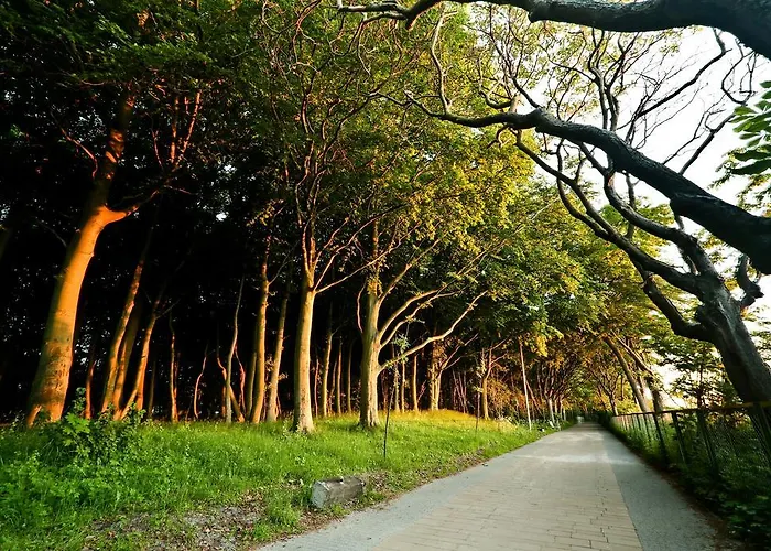 Diune & Appartamento Kołobrzeg